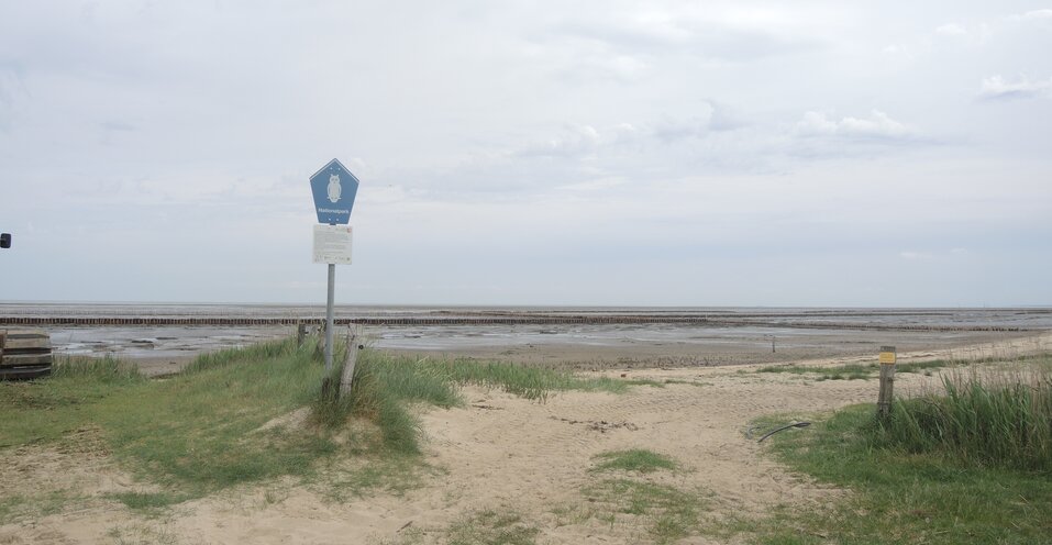 Courant fort sous la mer des Wadden : la technologie sans tranchée protège le patrimoine naturel mondial