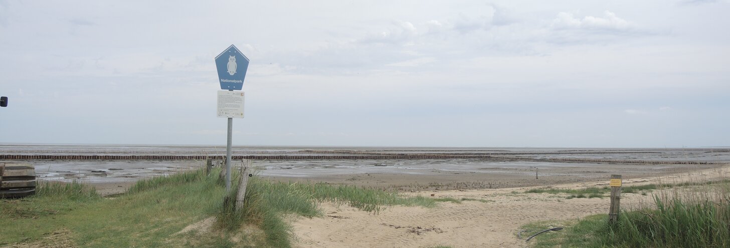 Courant fort sous la mer des Wadden : la technologie sans tranchée protège le patrimoine naturel mondial